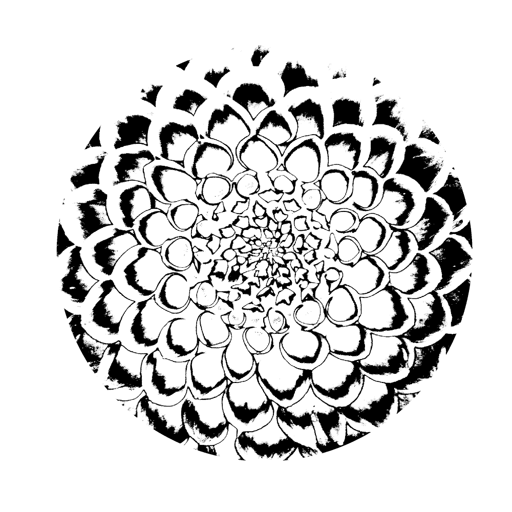 682e3d3559466