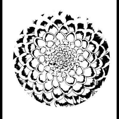 682e3d3559466