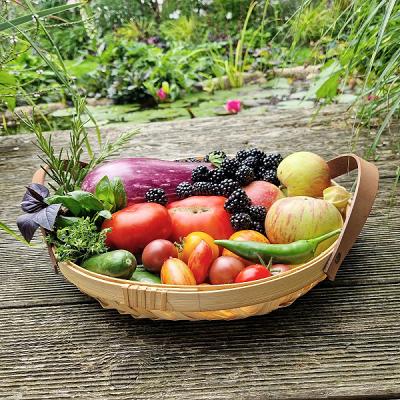 Gartenplanung Prinz