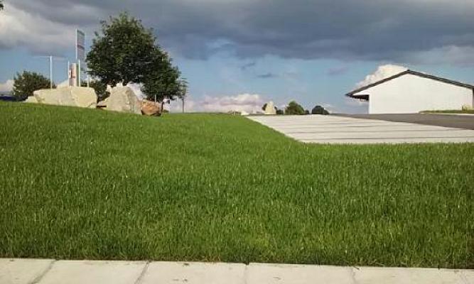 Andrzej Tomczak Landschaftspflege