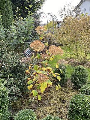 Garten & Kreativ - Schaugarten in Schweinhütt