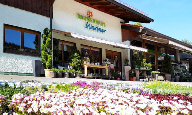 Blumenhaus Wartner