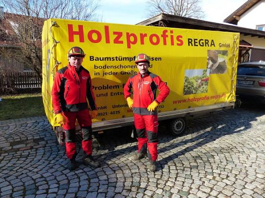 Holzprofis | REGRA GmbH