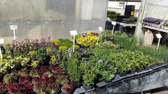 Gartenbau Kerscher-Müller