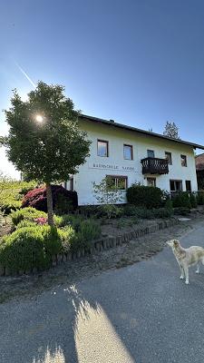 Naimer Baumschule