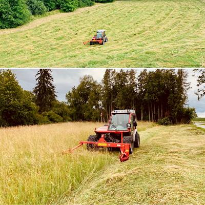 Grün Team Landschaftspflege - Forst - Amphibienschutz