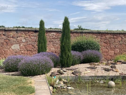 GartenLandschaftsbau Gärtnerei