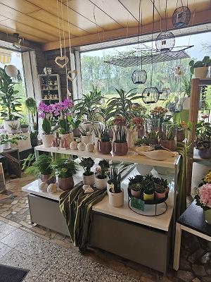 Blumen Inh. Claudia Strobl Friedhofsgärtnerei Plattling