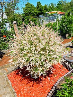 Verband der Gartenfreunde