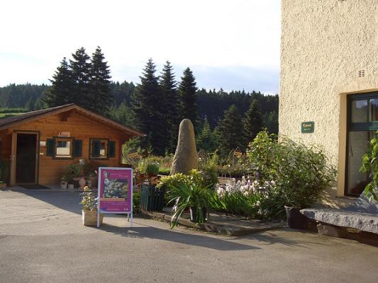 Baumschule/Gala-Bau Hechinger