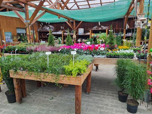 Baumschule Streibl Thomas Schweizer