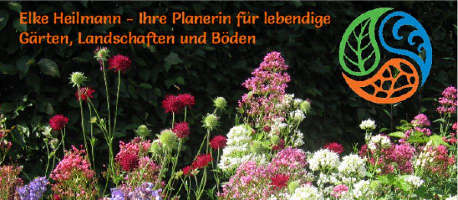 Landschaftsarchitektin Elke Heilmann