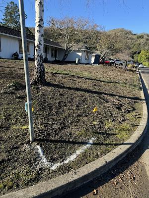Ledezma Landscaping