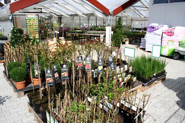 Schierlinger Blumenmarkt