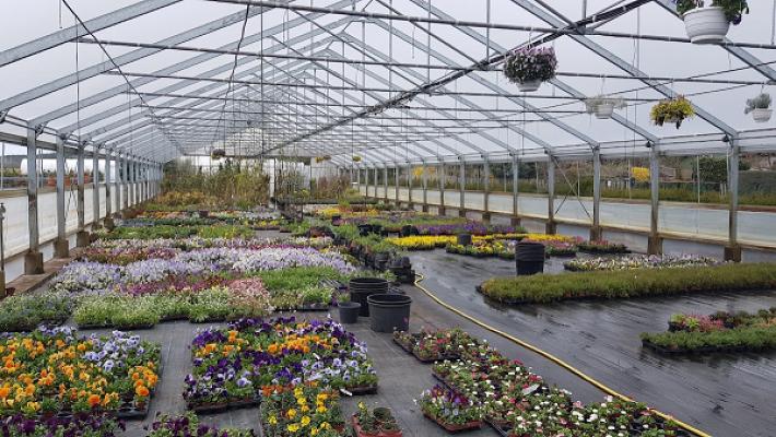 Gärtnerei Gartenbau Welzel