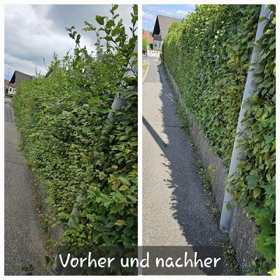 Alex Hausmeister & Gartenpflege