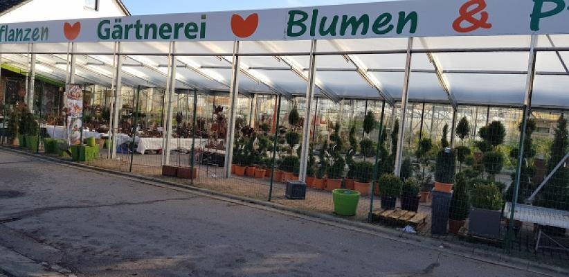 Blumen Pürzer