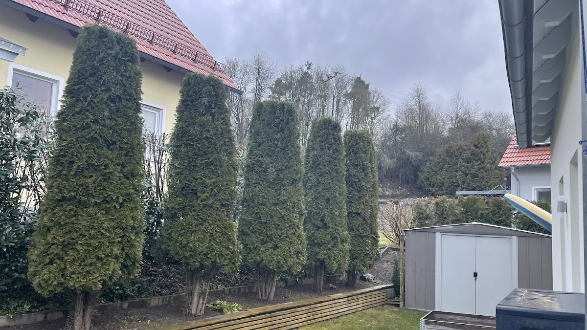 682e408021623