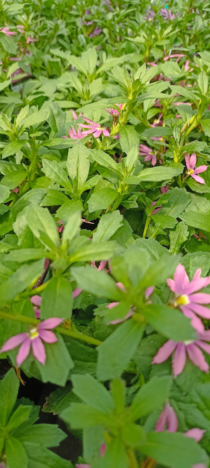 682e408eb0304