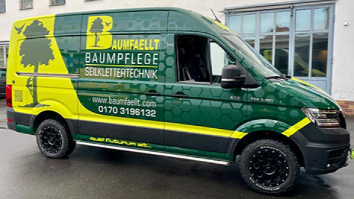 BAUMFAELLT - Baumpflege - Seilklettertechnik