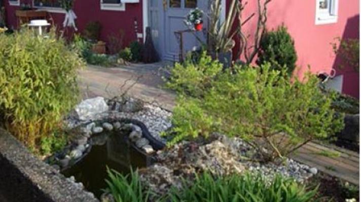 Whatever you want, Haus- u. Gartenservice, Inh. Erich Mursch