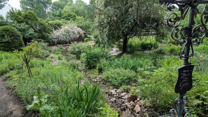 Hildegard-Heilkräuter+Garten