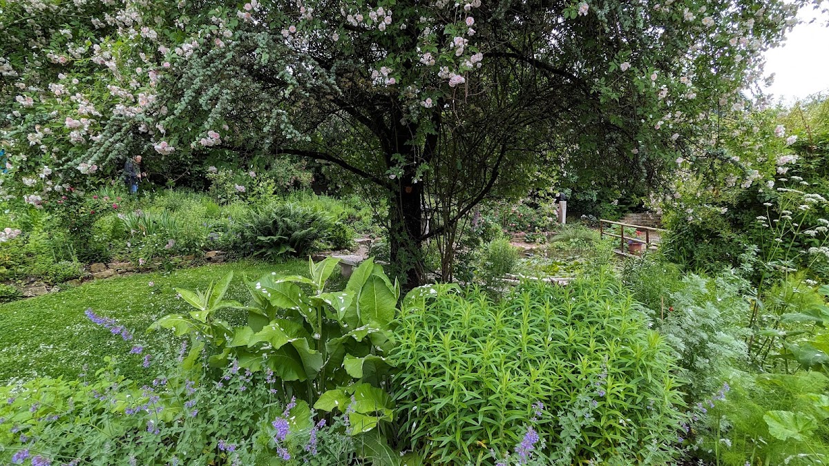 682e418012a5f