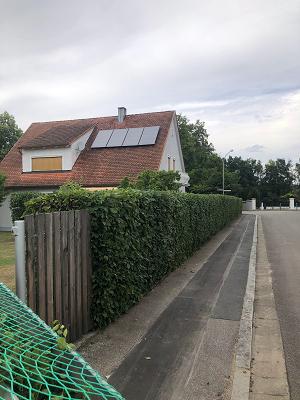 Hauer Haus & Gartenservice