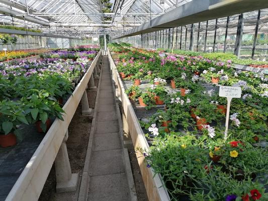 Sura |die Erlebnisgärtnerei