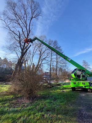 Baumpflege Michael Kaschube