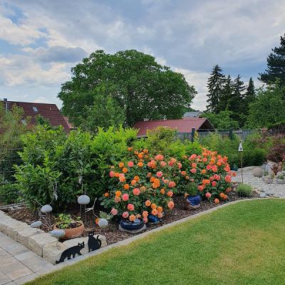 Garten- und Landschaftsbau Adrian Schroth