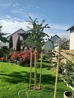 Gartenparadies Regensburg