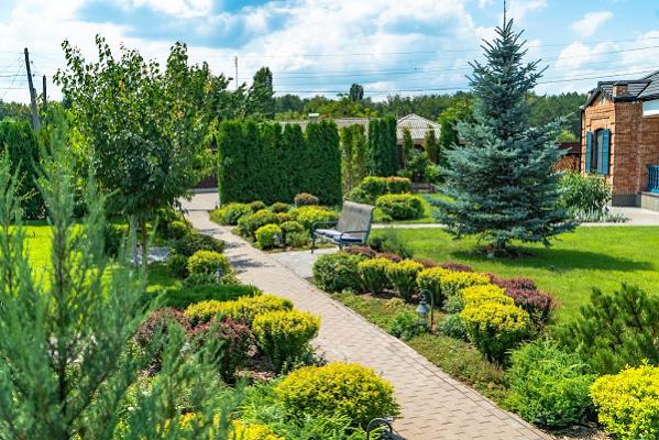 Memet Shashivari Garten- und Landschaftsbau