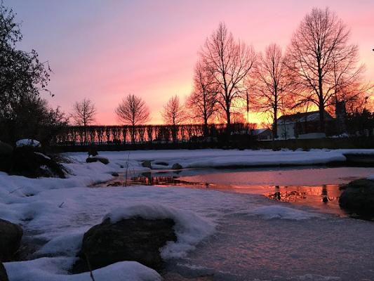 Artinger GmbH & Co. KG - Gartengestaltung - Landschaftsbau