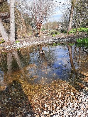 Kreislehrgarten