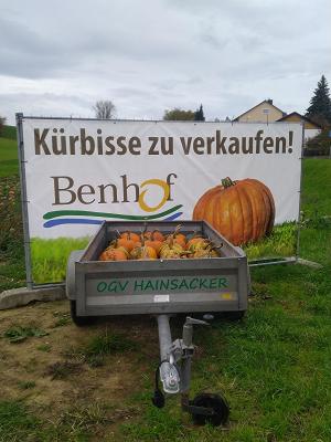 OGV Hainsacker