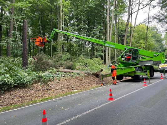 Baumservice Ohlendorf GmbH