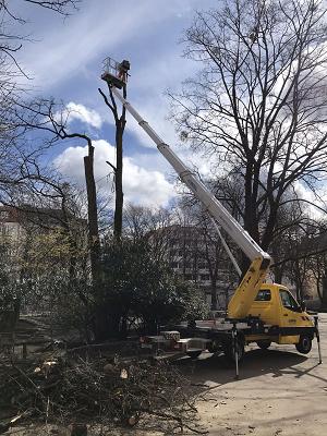 Kubny Bauservice GmbH - Gartenbau, Landschaftsbau, Pflasterarbeiten, Baggerarbeiten, Kernbohrungen, Montageservice