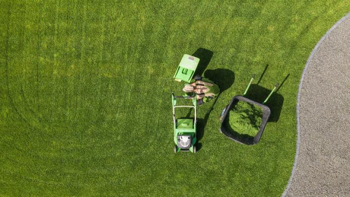 Gartenpflege Firma - Cham