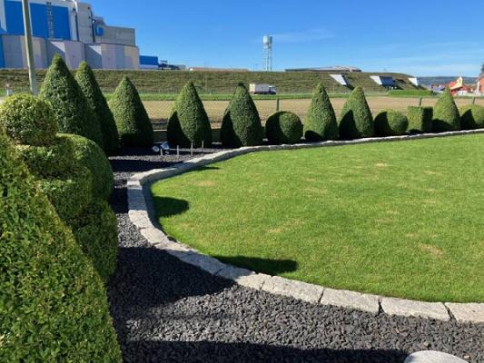 Gartenpflege Schlecht