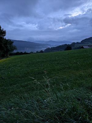 Marchl Garten- und Landschaftsbau, Floristik, Gärtnerei
