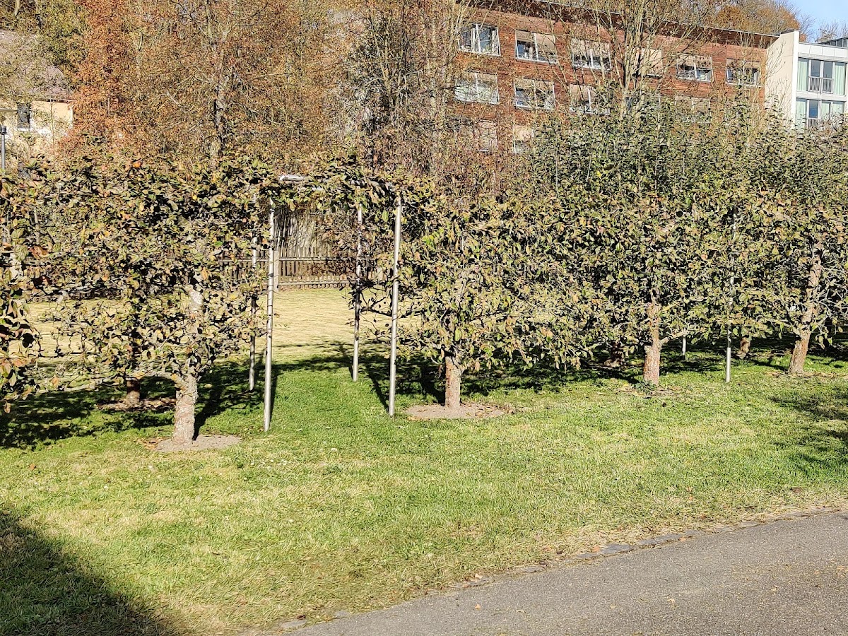 682e4509867d1