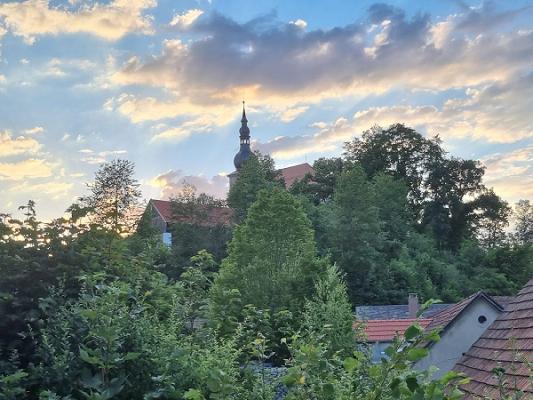 Benno Zapf GmbH & Co. KG Garten- und Landschaftsbau