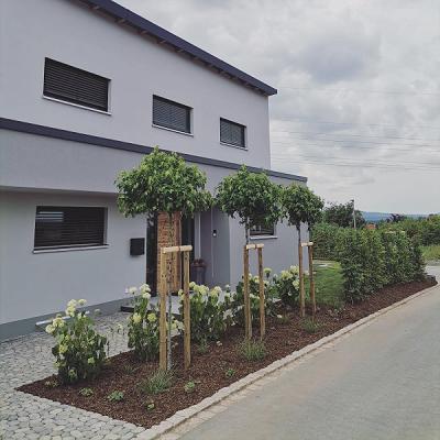 Badum Garten- & Landschaftsbau GmbH