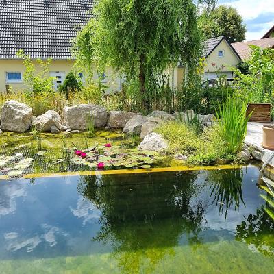 Garten Friedel