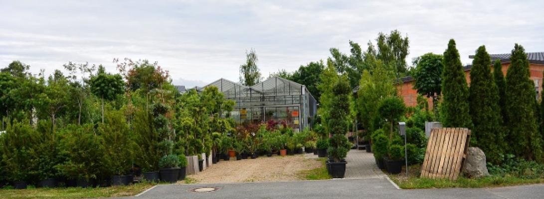 Walter Großkopf Gartenbau