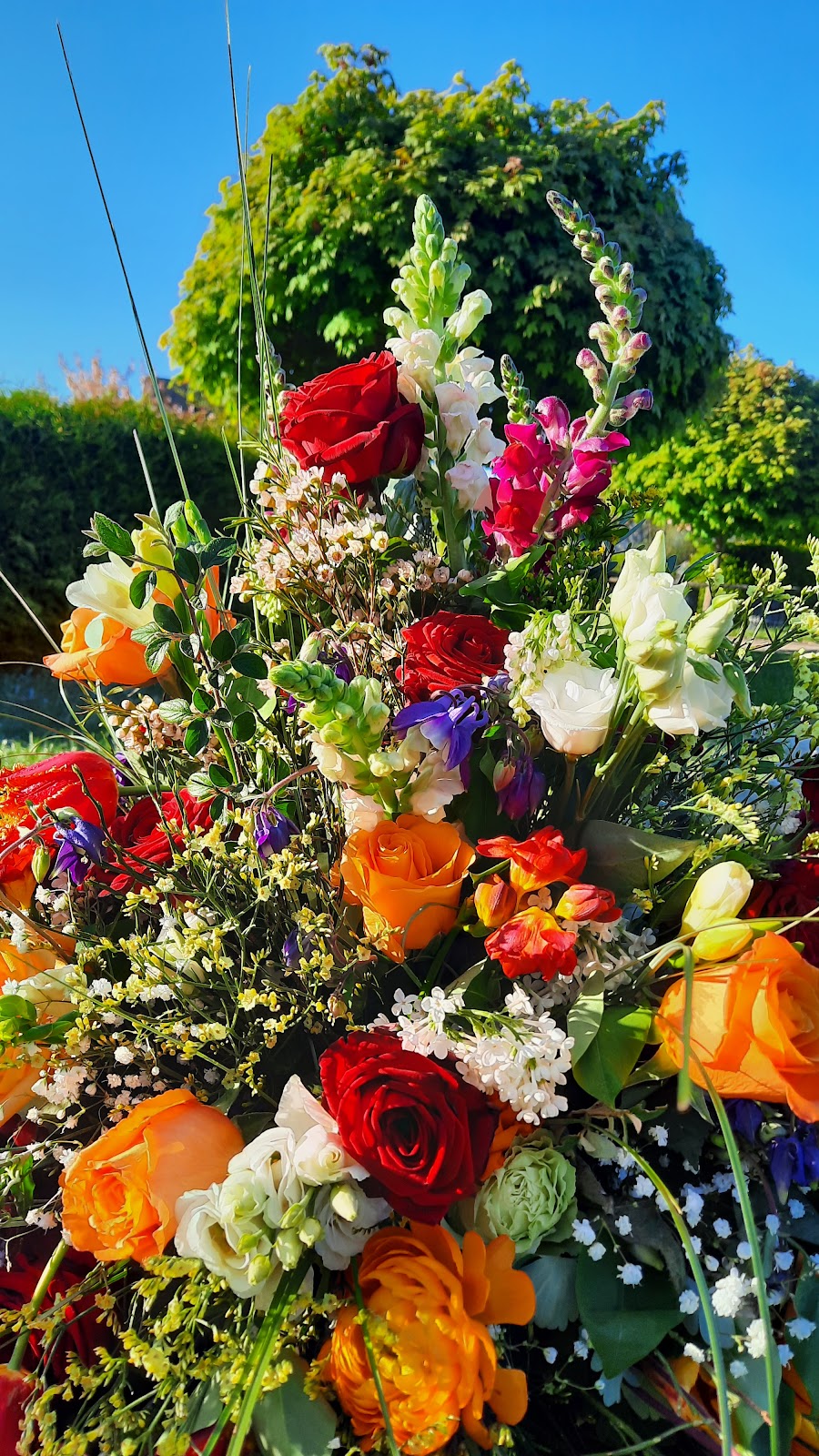 682e46e21d25d