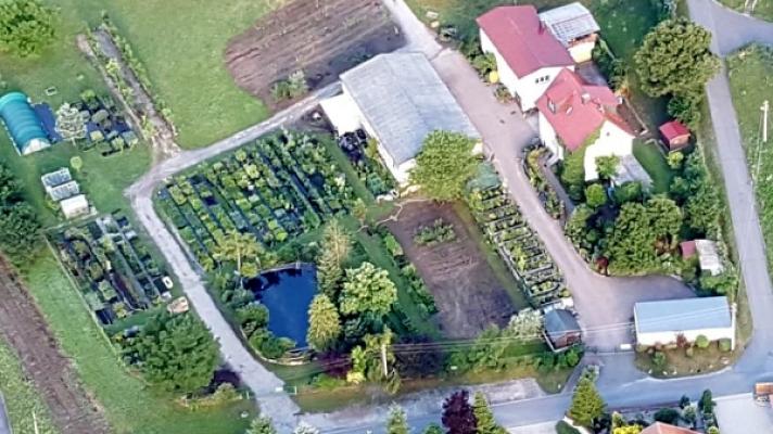 Kammbach Baumschule - Pflanzenhandel - Gartengestaltung
