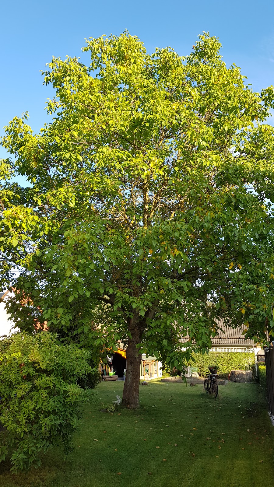 682e47a037539
