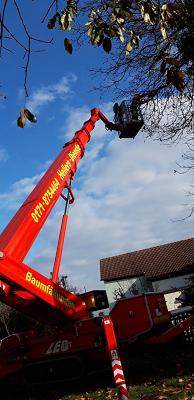 Hellers Dienste